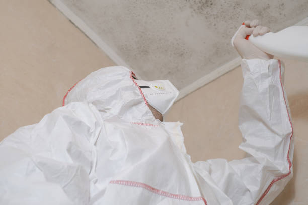 Mold Testing and Removal in Avon, CO